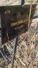Захоронение ID 6386001