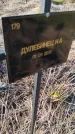 Захоронение ID 6386002