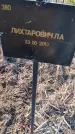 Захоронение ID 6386005