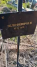 Захоронение ID 6386010
