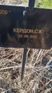 Захоронение ID 6386018