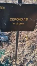 Захоронение ID 6386023