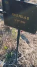 Захоронение ID 6386026