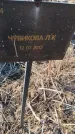 Захоронение ID 6386027