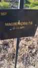 Захоронение ID 6386033