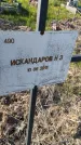 Захоронение ID 6386034