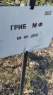 Захоронение ID 6386039