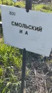 Захоронение ID 6386043