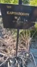 Захоронение ID 6386051