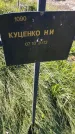 Захоронение ID 6386052