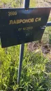 Захоронение ID 6386053