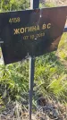 Захоронение ID 6386055
