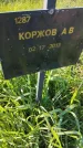 Захоронение ID 6386058