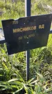 Захоронение ID 6386059