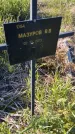 Захоронение ID 6386060