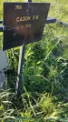 Захоронение ID 6386063