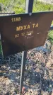 Захоронение ID 6386065