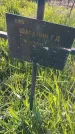 Захоронение ID 6386070