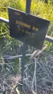 Захоронение ID 6386077