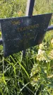 Захоронение ID 6386083
