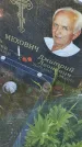 Захоронение ID 6386089
