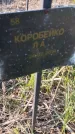 Захоронение ID 6386095