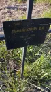 Захоронение ID 6386096