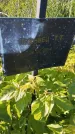 Захоронение ID 6386099