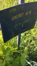 Захоронение ID 6386100