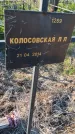 Захоронение ID 6386111