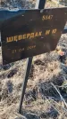 Захоронение ID 6386112