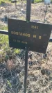 Захоронение ID 6386120