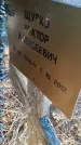 Захоронение ID 6386151