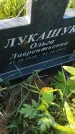 Захоронение ID 6386154