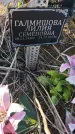 Захоронение ID 6386169