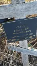 Захоронение ID 6386172