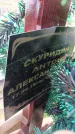 Захоронение ID 6386234