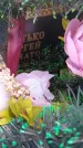Захоронение ID 6386237