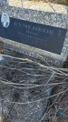 Захоронение ID 6386540