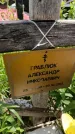 Захоронение ID 6386697