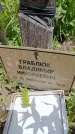 Захоронение ID 6386700