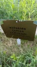 Захоронение ID 6386962