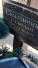 Захоронение ID 6387373