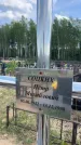 Захоронение ID 6387468