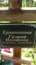 Захоронение ID 6387509