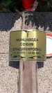 Захоронение ID 6387520
