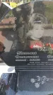 Захоронение ID 6387787