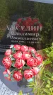 Захоронение ID 6387856