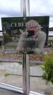 Захоронение ID 6387940