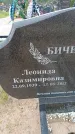 Захоронение ID 6388082